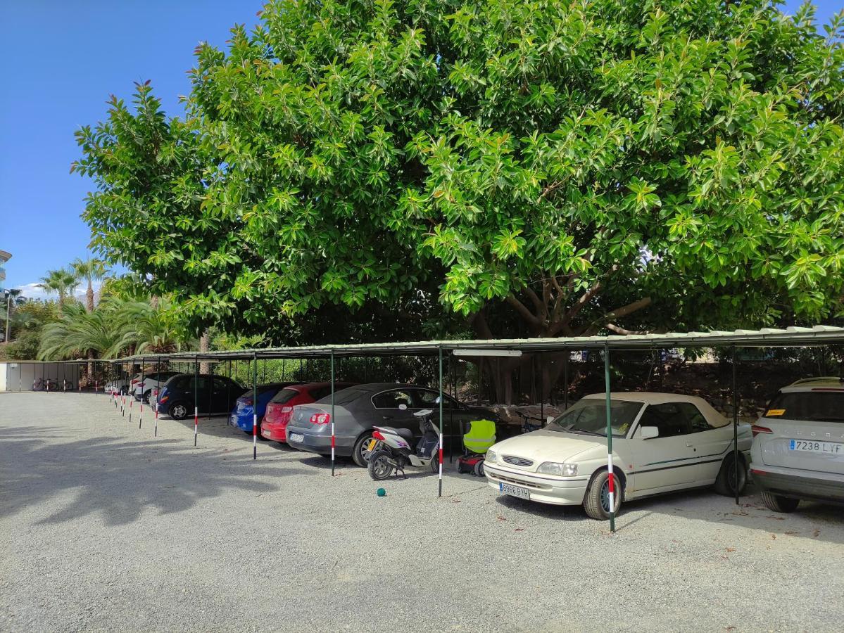 Albir cosy apartment El Albir Dış mekan fotoğraf